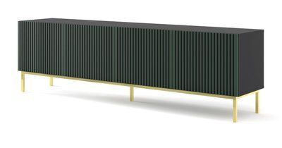 Тумба під телевізор у вітальню Ravenna F 200 4D зелена Bim Furniture BIM0435 фото - bimfurniture.com.ua