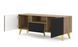 Тумба з дверцятами Stand 150 2D1S дуб артизан/чорний Bim Furniture BIM0479 фото 2 - bimfurniture.com.ua