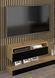 Тумба під телевізор Duo 100 дуб артизан / чорний Bim Furniture BIM0096 фото 4 - bimfurniture.com.ua