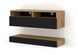 Тумба під телевізор Duo 100 дуб артизан / чорний Bim Furniture BIM0096 фото 1 - bimfurniture.com.ua